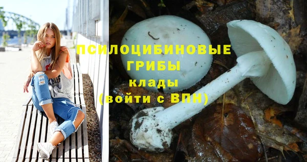 прущие крисы Балахна