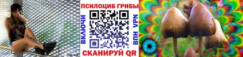 купить закладку это какой сайт Галлюциногенные грибы Cubensis Верхний Тагил